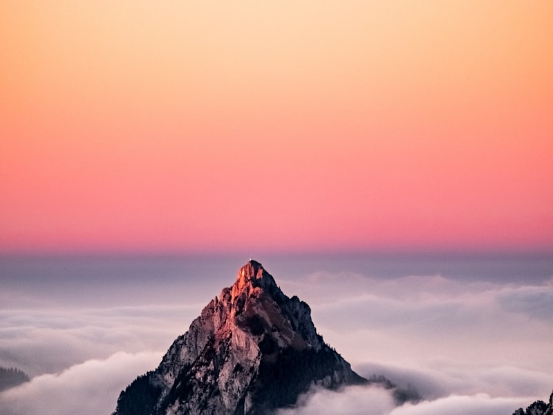 Saving the Elephant: Conservation in Amboseli