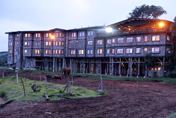 Aberdare Treetops Lodge