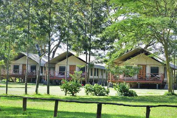 Lake Naivasha Crescent Camp