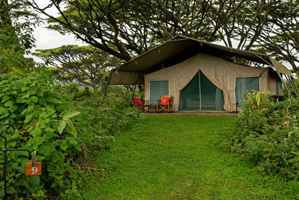 Lemala Ngorongoro Tented Camp