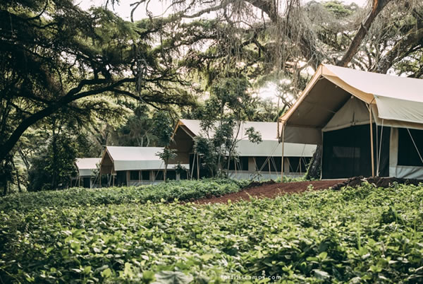 Ngorongoro Tortilis Camp