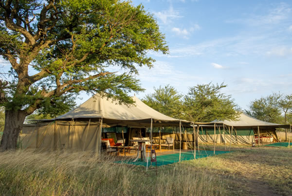 Serengeti Wilderness Camp