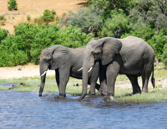 3 Days Amboseli National Park