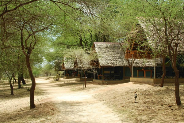 Tarangire Safari Lodge